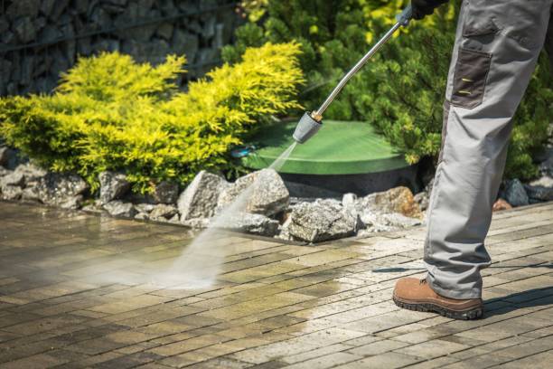 Best Pre-Holiday Cleaning  in New Plymouth, ID