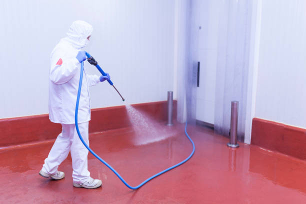 Best Dumpster Area Cleaning  in New Plymouth, ID