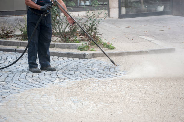 Best Driveway Pressure Washing  in New Plymouth, ID